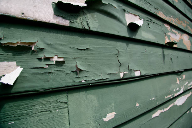 Best Shed Removal  in Inverness Highlands North, FL